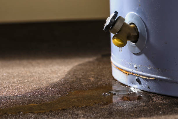 Best Commercial water damage restoration  in Potterville, MI