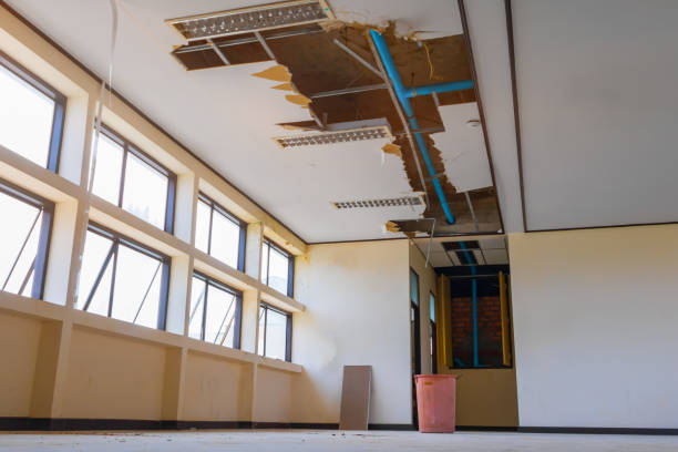 Best Water damage repair service  in Potterville, MI