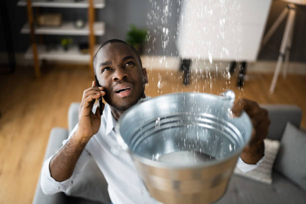 Best Emergency water damage restoration  in Potterville, MI
