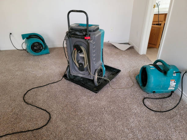 Best Professional water damage repair  in Potterville, MI
