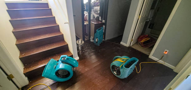 Best 24/7 water damage repair  in Potterville, MI