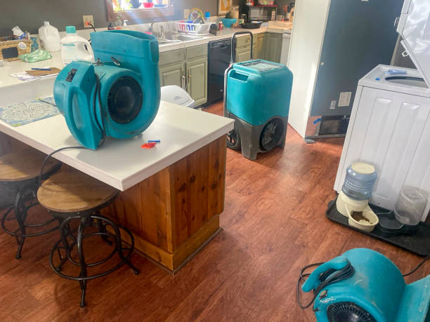 Best Carpet water damage restoration  in Potterville, MI