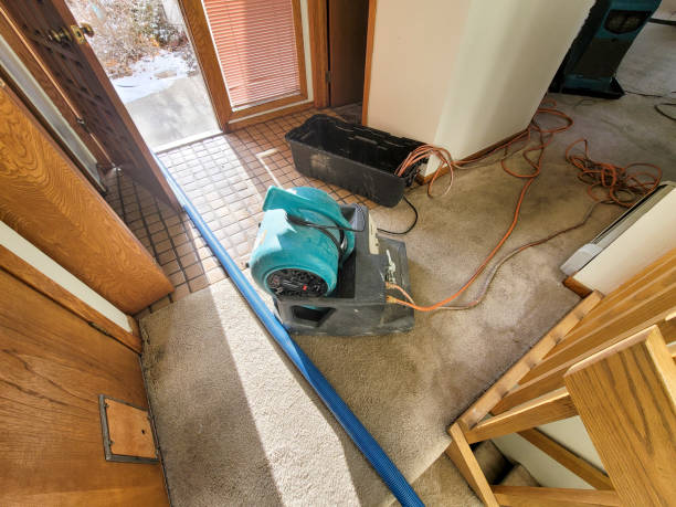 Best Water damage restoration near me  in Potterville, MI