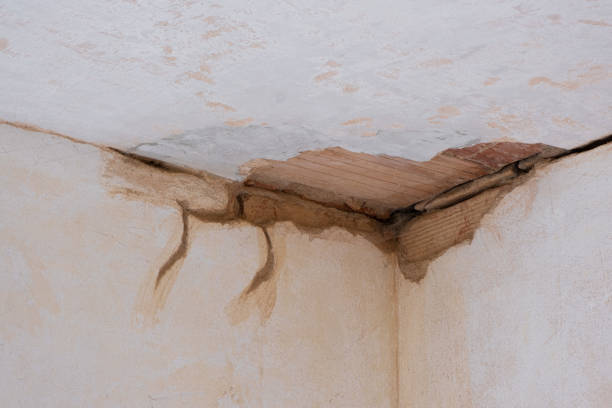 Best Water damage contractors near me  in Potterville, MI