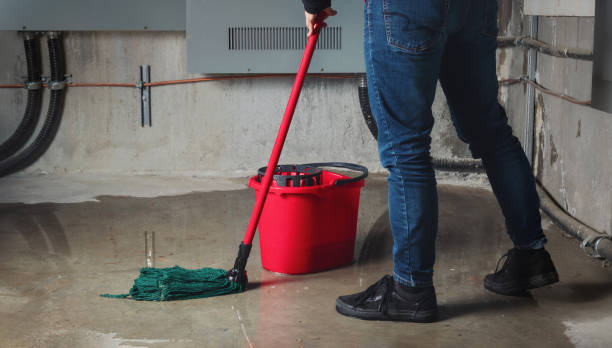 Best Water damage restoration near me  in Potterville, MI