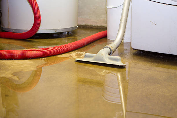 Best Ceiling water damage repair  in Potterville, MI