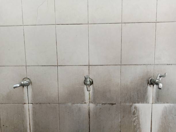 Best Ceiling water damage repair  in Potterville, MI