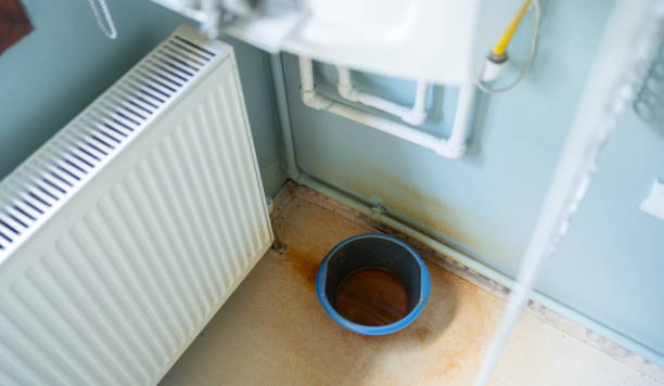 Best Sewage cleanup and water damage restoration  in Potterville, MI