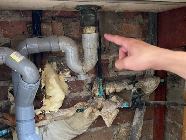 Best Flood damage cleanup  in Potterville, MI