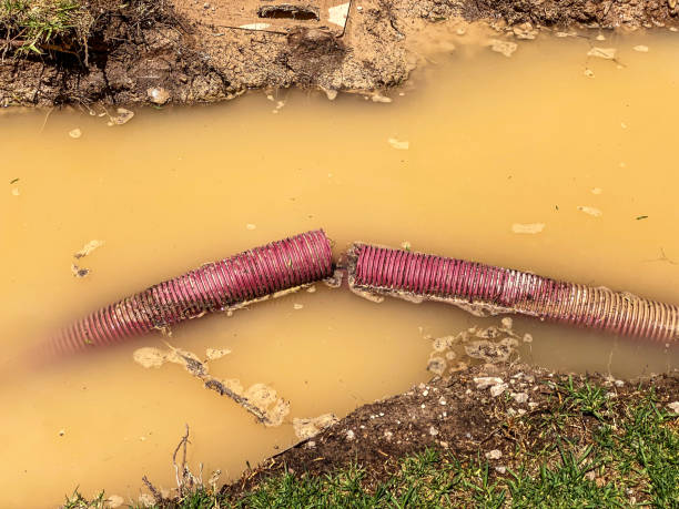 Best Water damage restoration mold remediation  in Potterville, MI