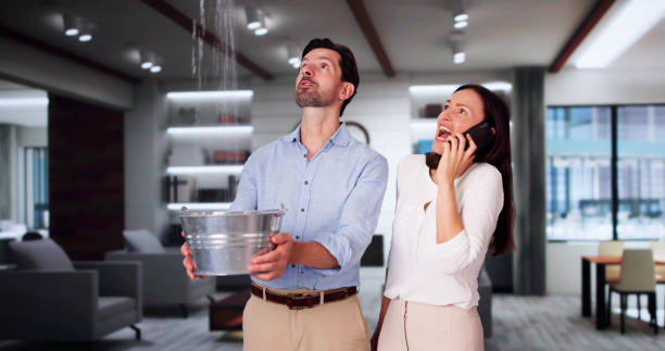  Potterville, MI Water damage restoration Pros