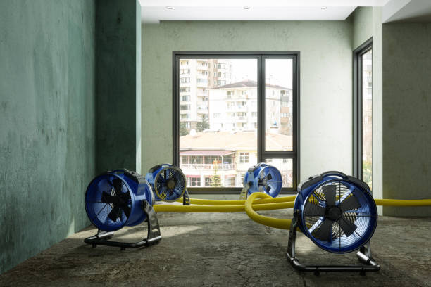 Best Water damage restoration mold remediation  in Potterville, MI
